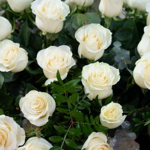 Centre Roses Blanques